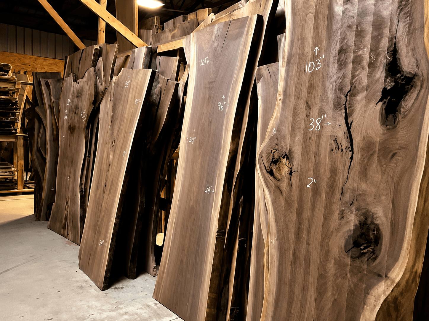 Large walnut slabs standing in the warehouse
